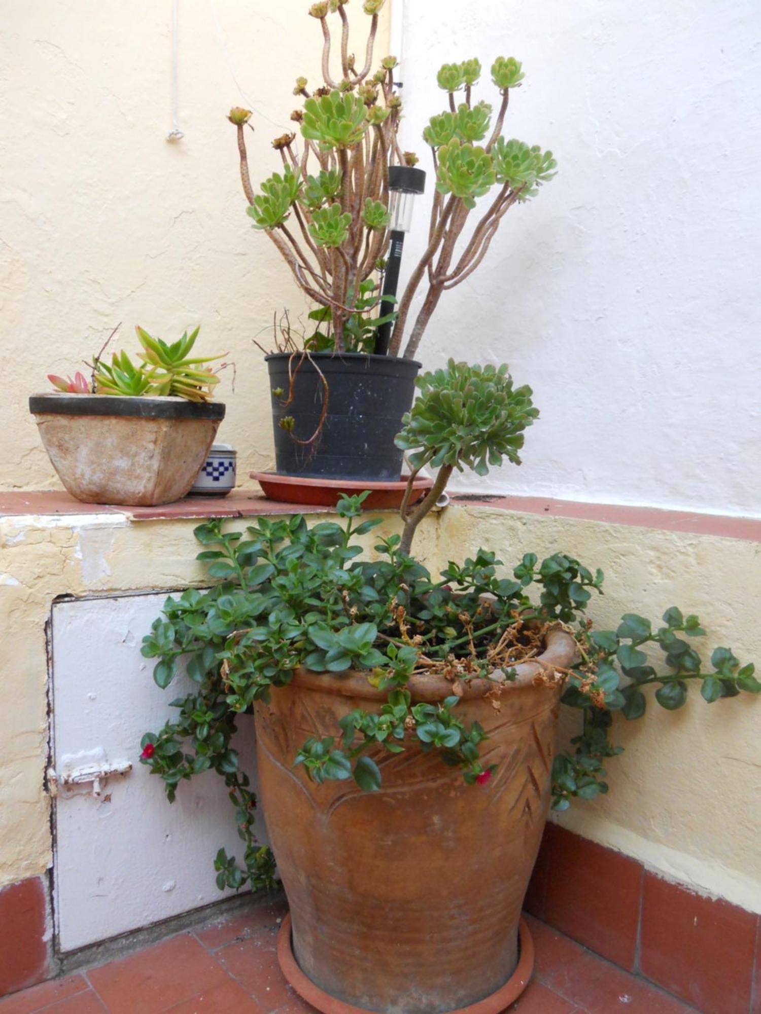 Naturalia: La Casita Con Patio Caceres Exterior photo